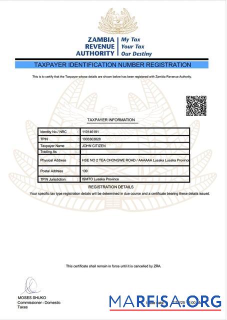 Downloadable Zambia taxpayer identification number registration Word and PDF template